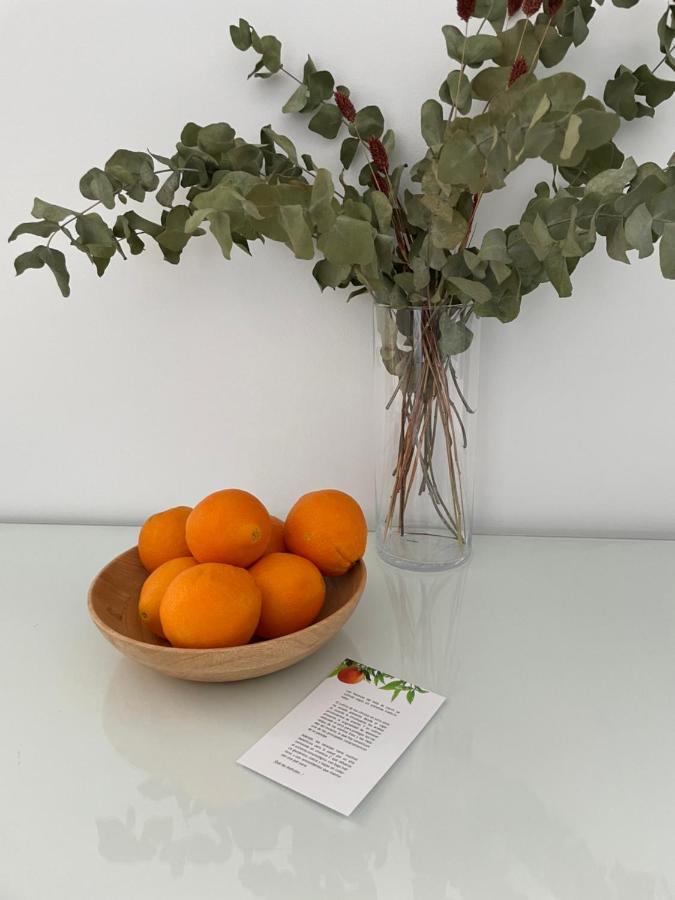 Apartamentos Con Encanto En El Centro De Granada Dış mekan fotoğraf
